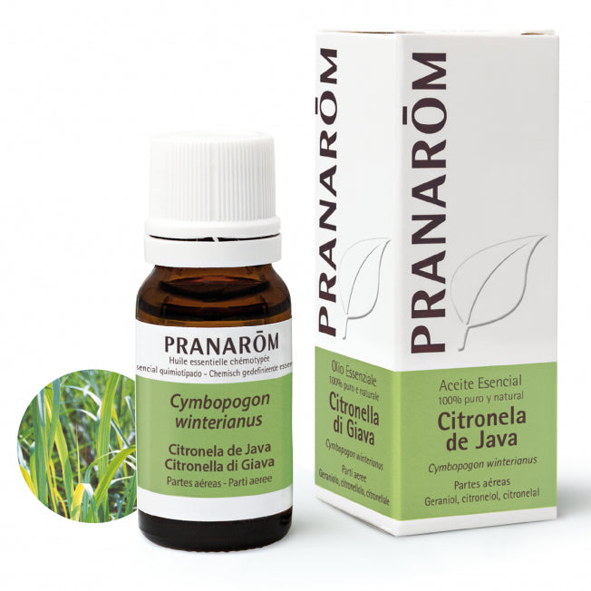 Óleo essencial de Citronela de Java - 10ml